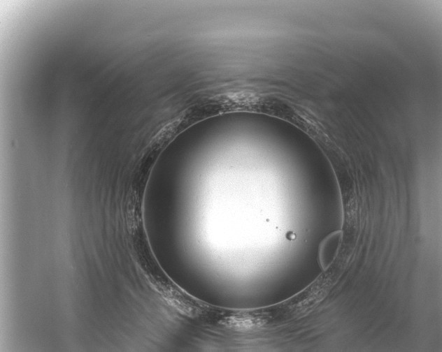 X0000061120464200511211005