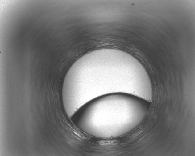 X0000061120465200511211005