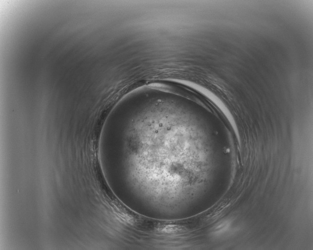 X0000061120467200511211005