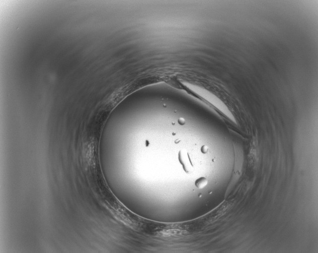 X0000061120468200511211005