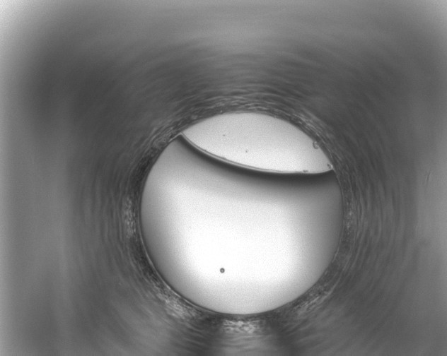 X0000061120469200511211005