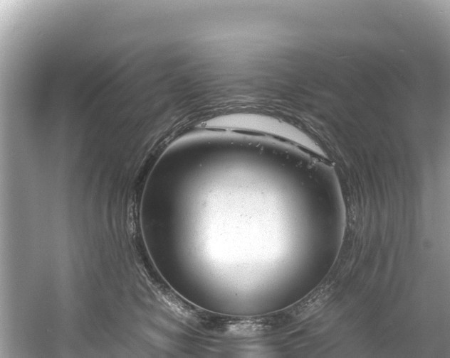 X0000061120470200511211005