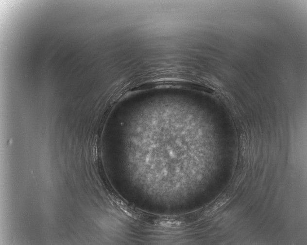 X0000061120471200511211005