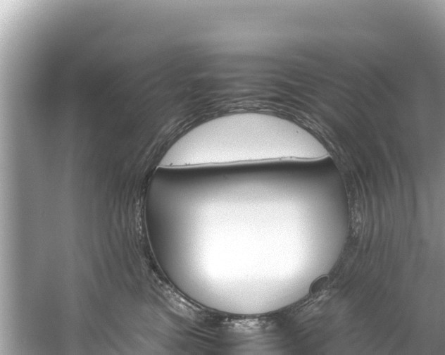 X0000061120473200511211005