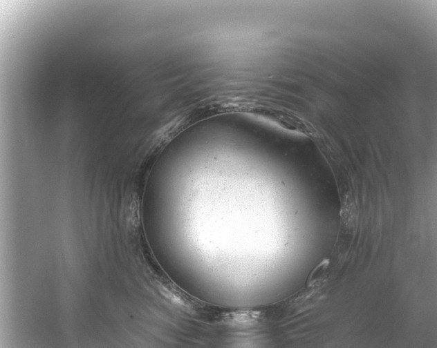 X0000061120474200511211005