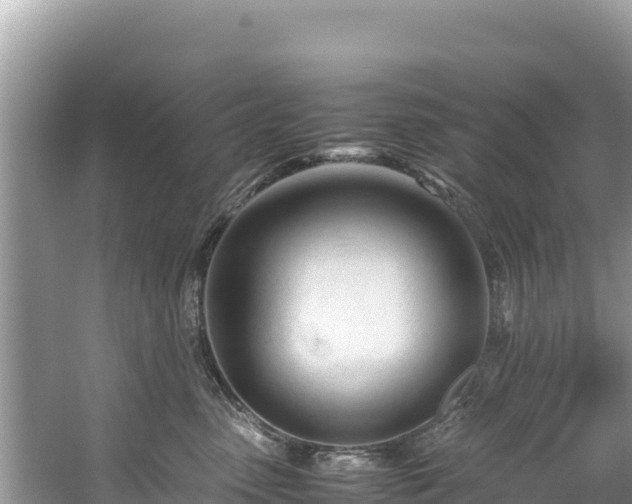 X0000061120475200511211005