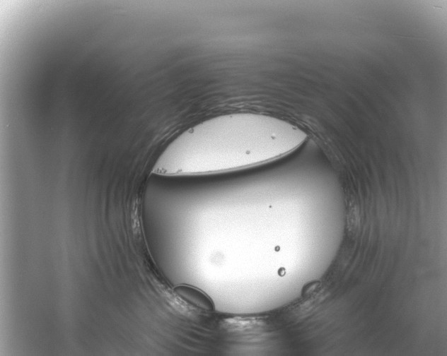 X0000061120477200511211005