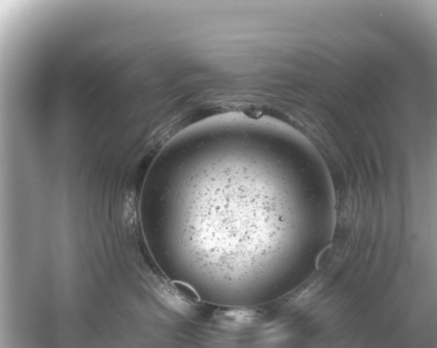 X0000061120478200511211005