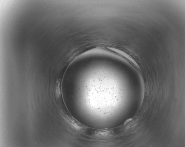 X0000061120479200511211005