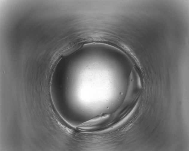 X0000061120481200511211005