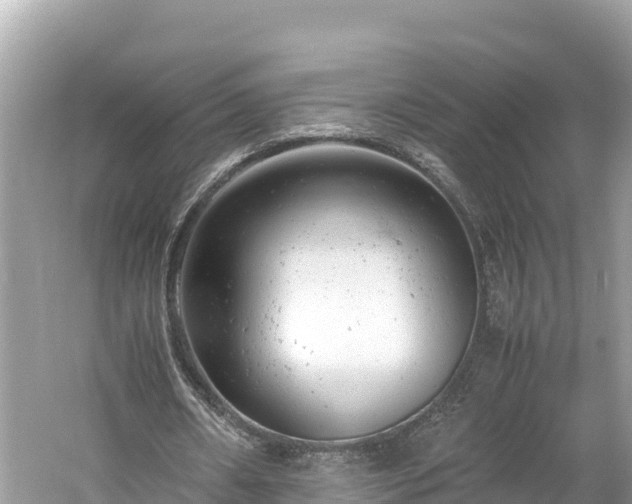 X0000061120482200511211005