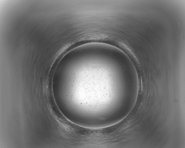 X0000061120483200511211005