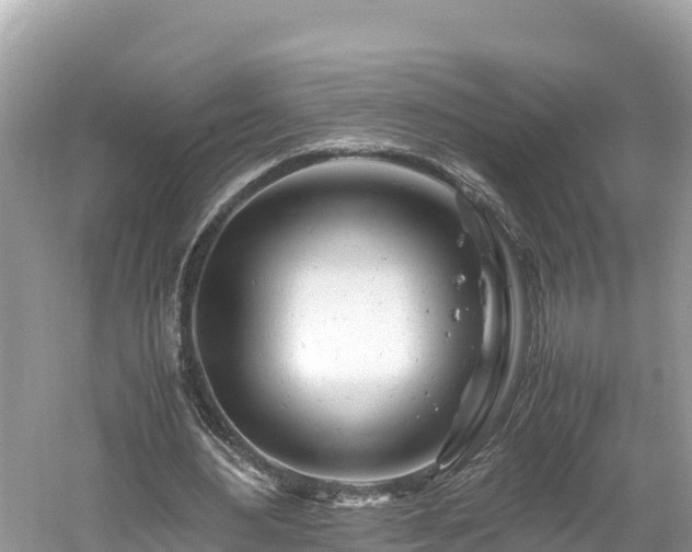 X0000061120484200511211005