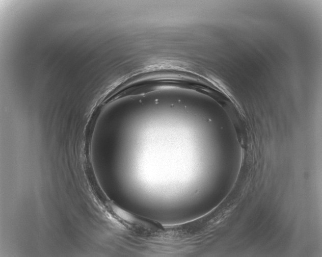 X0000061120485200511211005