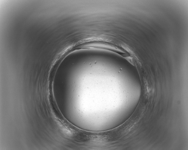 X0000061120486200511211004