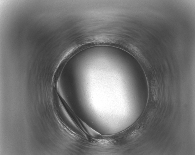 X0000061120488200511211004