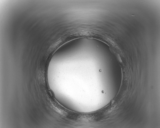 X0000061120489200511211004