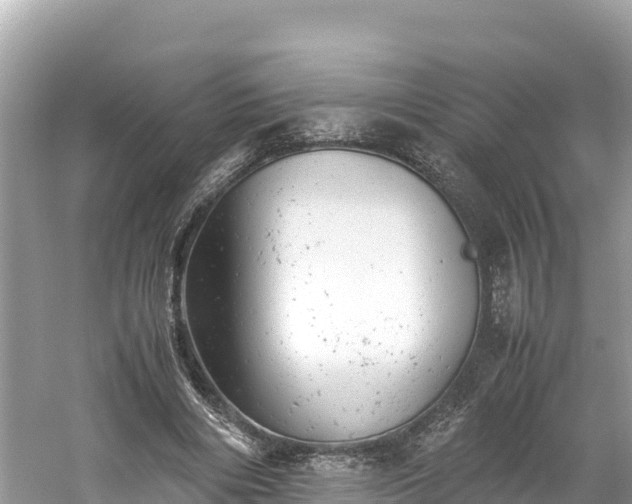 X0000061120490200511211004