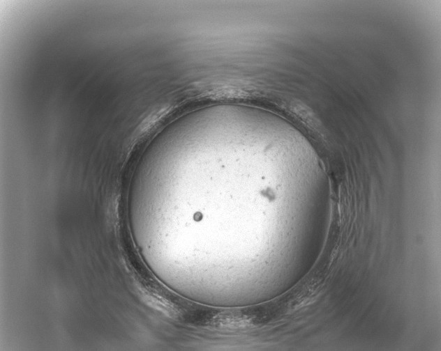 X0000061120491200511211004