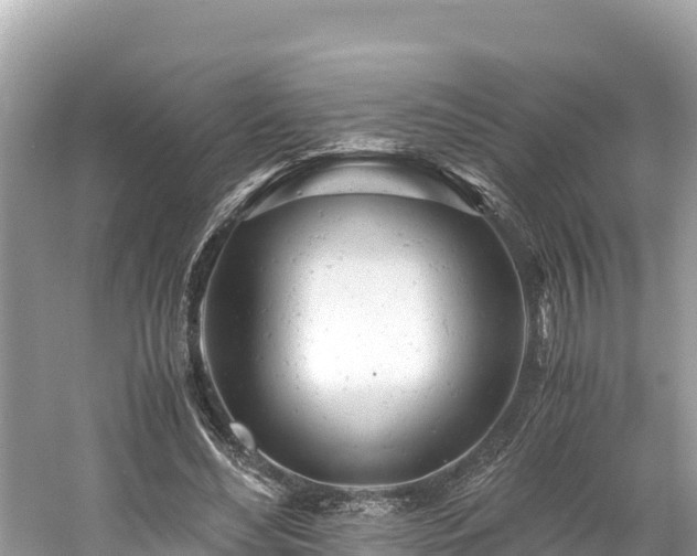 X0000061120492200511211004