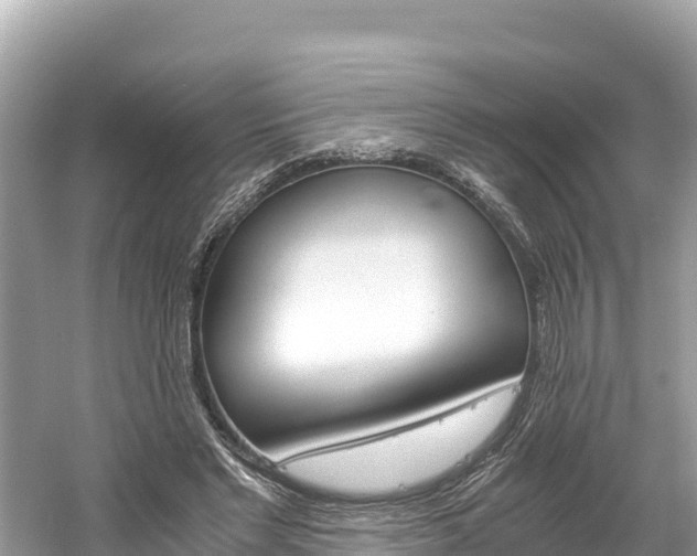 X0000061120493200511211004