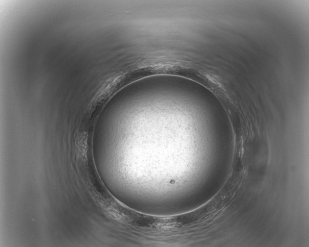 X0000061120495200511211004