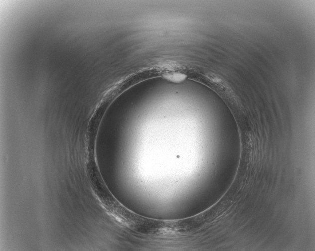 X0000061120496200511211004