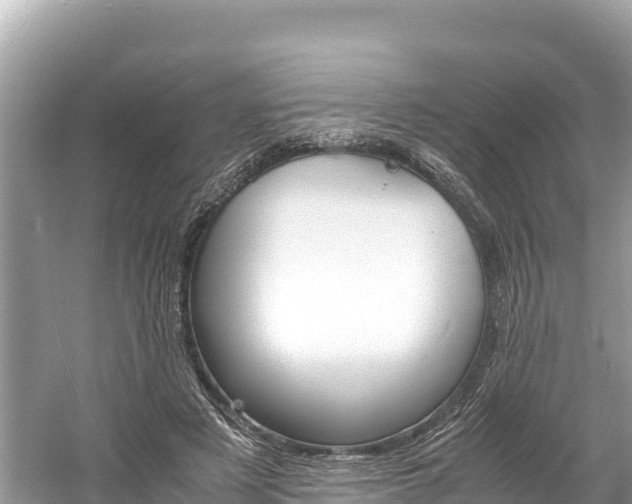 X0000061120497200511211004