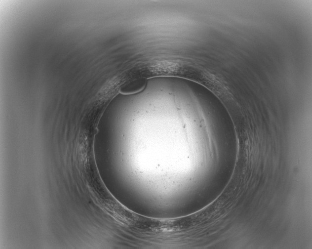 X0000061120498200511211004