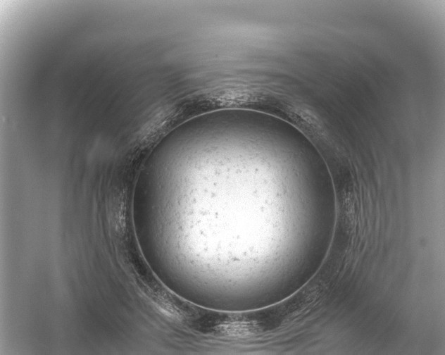 X0000061120499200511211004