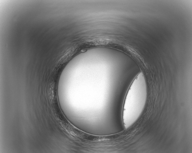 X0000061120501200511211004