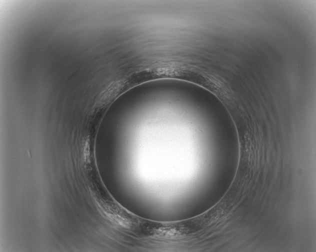 X0000061120502200511211004