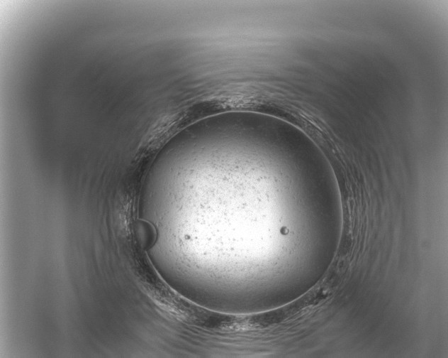 X0000061120503200511211004