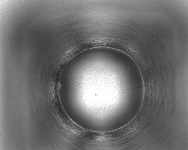 X0000061120504200511211004