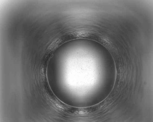 X0000061120506200511211004