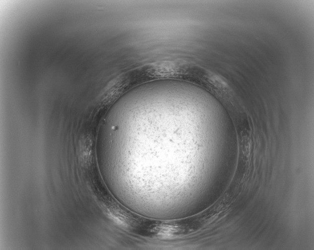 X0000061120507200511211004