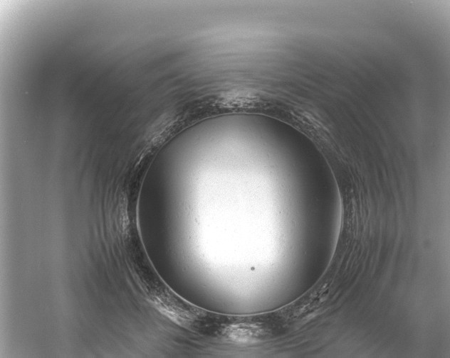 X0000061120508200511211004