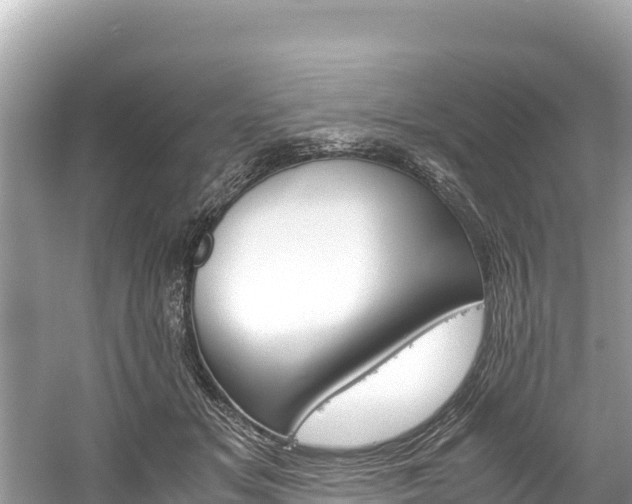 X0000061120509200511211004