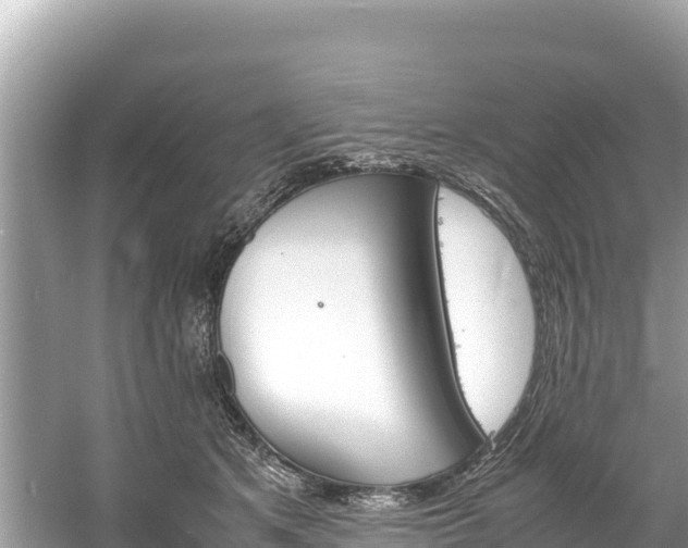 X0000061120513200511211004