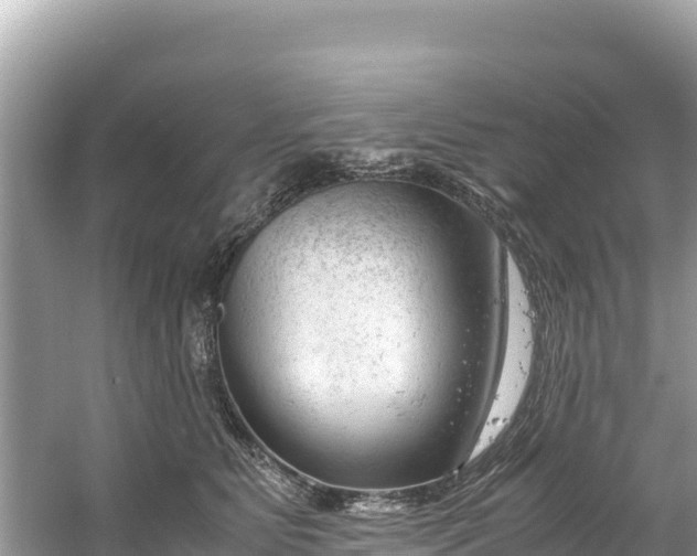 X0000061120515200511211004