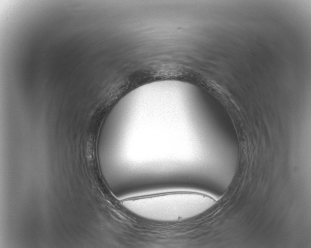 X0000061120517200511211004