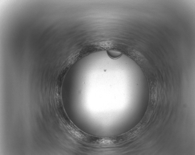 X0000061120518200511211004