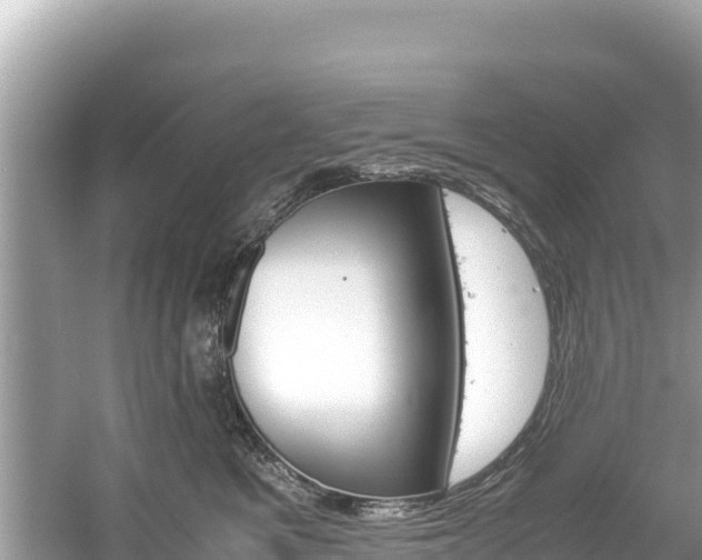 X0000061120521200511211004