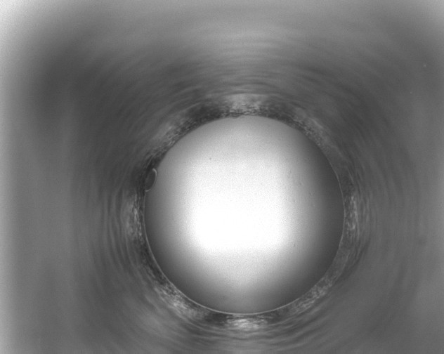 X0000061120522200511211004