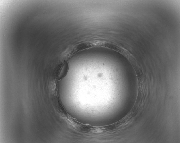 X0000061120523200511211004