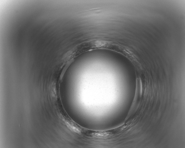 X0000061120524200511211004