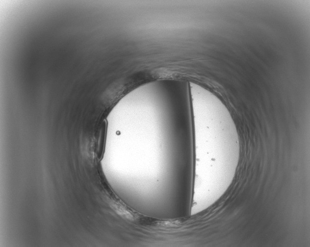 X0000061120525200511211004