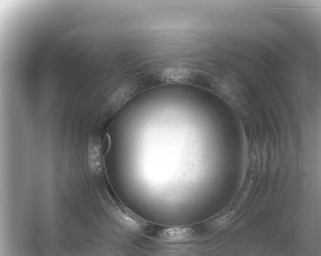 X0000061120526200511211004