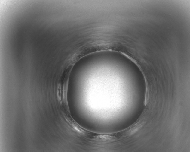 X0000061120528200511211004