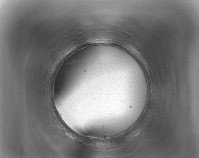 X0000061120529200511211003